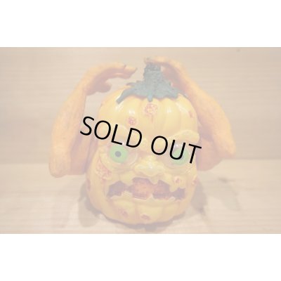 画像4: SHAKIN MUTANT PUMPKIN