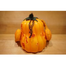 他の写真2: SHAKIN MUTANT PUMPKIN