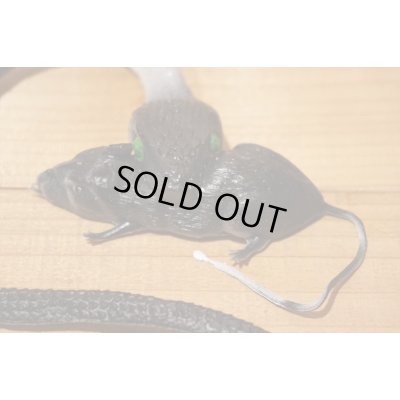 画像3: ゴム製 ネズミを食べるヘビ