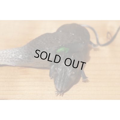 画像4: ゴム製 ネズミを食べるヘビ