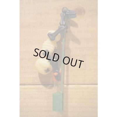 画像6: Skull Candy Container 【A】