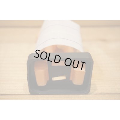 画像6: Hermaphrodite 【A】