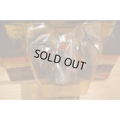 画像4: FLASH FRITES