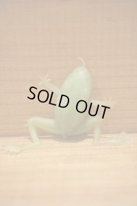 RUBBER FROG 【D】