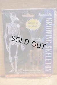 GROWING SKELETON 【A】
