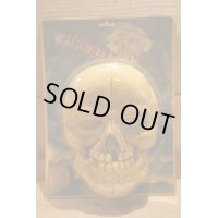 80s SKULL HALLOWEEN NIGHT LITE 【A】