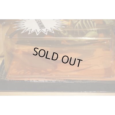 画像5: NIGHTMARE WARRIORS