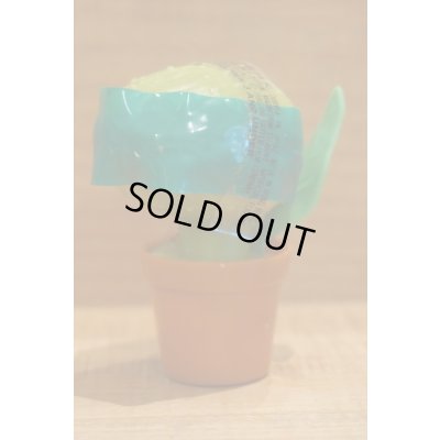 画像1: LSOH キャンディーコンテナー 【C】