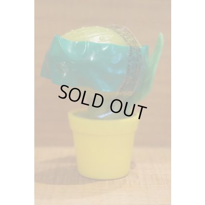 画像1: LSOH キャンディーコンテナー 【A】