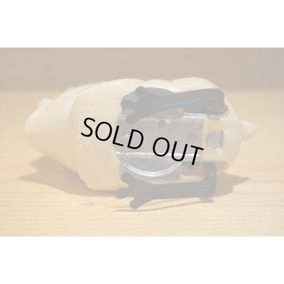 画像7: SHUDDER PIG 【A】