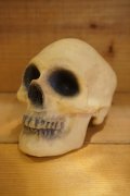 RUBBER SKULL HEAD