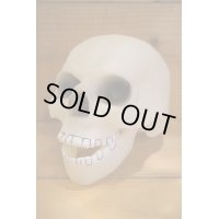 SKULL ソフビヘッド