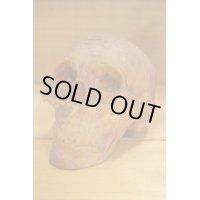 RUBBER SKULL HEAD 【A】