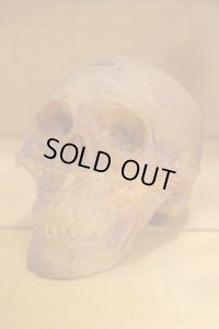 RUBBER SKULL HEAD 【A】