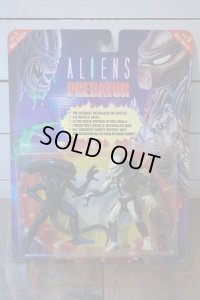 ALIEN vs PREDATOR 【A】