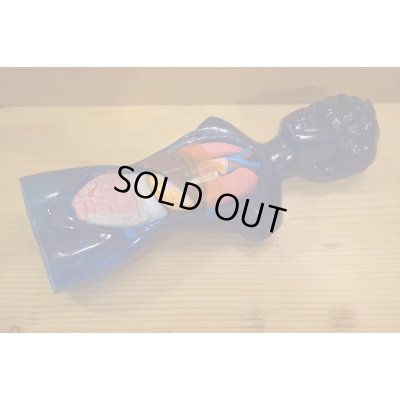 画像9: ヌード ヴィーナス 人体模型