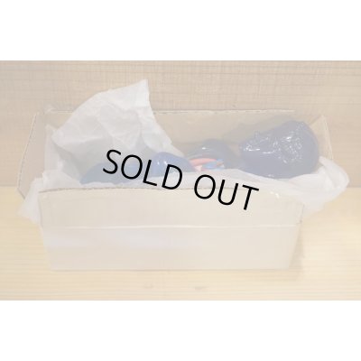 画像12: ヌード ヴィーナス 人体模型