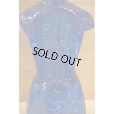 画像7: ヌード ヴィーナス 人体模型