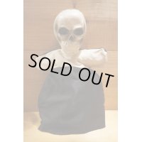SKULL Hand Puppet【A】