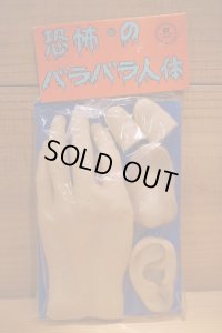恐怖のバラバラ人体【B】