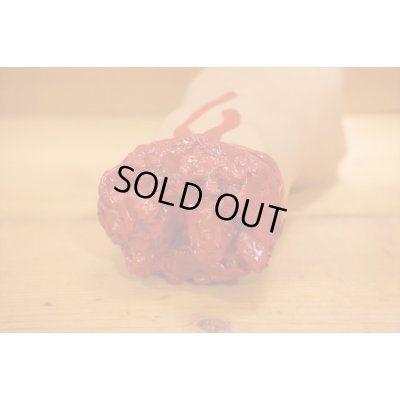 画像4: 切れた手首