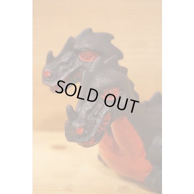 画像6: DRAGON RIDERS