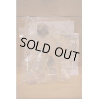 INVISIBLE PREDATOR ※mail offer ltd