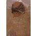 画像3: INVISIBLE PREDATOR ※mail offer ltd (3)