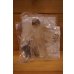 画像1: INVISIBLE PREDATOR ※mail offer ltd (1)
