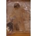 画像2: INVISIBLE PREDATOR ※mail offer ltd (2)