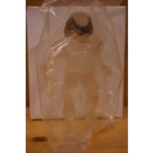 他の写真3: INVISIBLE PREDATOR ※mail offer ltd