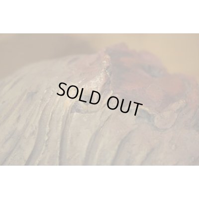 画像7: ゾンビの頭