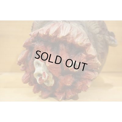 画像8: ゾンビの頭