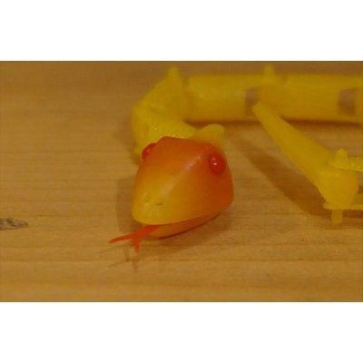 画像5: Sneeky Snake【A】