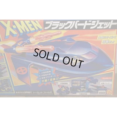 画像3: ブラックバードジェット