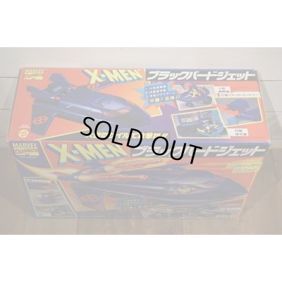 画像4: ブラックバードジェット