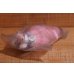 画像3: からかさお化け 駄玩具 (3)
