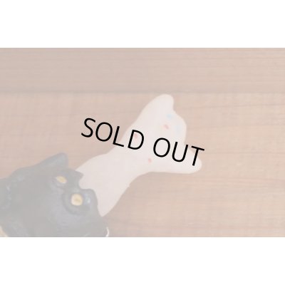 画像6: クモのヌード出し【A】