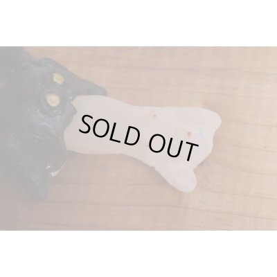 画像6: クモのヌード出し【B】