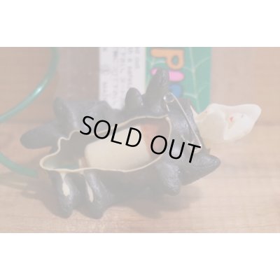 画像4: クモのヌード出し【B】