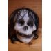 画像1: SHRUNKEN SKULL HEAD【J】 (1)