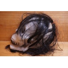 他の写真1: SHRUNKEN SKULL HEAD【J】