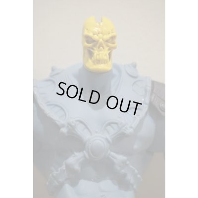 画像4: 詳細不明 SKELETOR