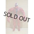 CARNAGE ※loose 
