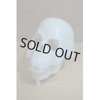 Talking Skull【A】