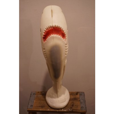 画像3: THE GREAT WHITE SHARK BANK【B】