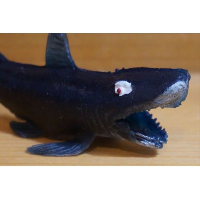 画像3: ゴム製 サメ【N】