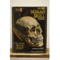 LIFE-SIZE HUMAN SKULL【A】