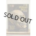 LIFE-SIZE HUMAN SKULL【A】