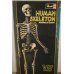 画像2: Revell HUMAN SKELETON【A】 (2)